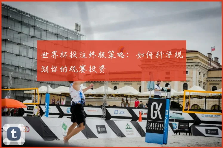 世界杯投注终极策略:如何科学规划你的观赛投资