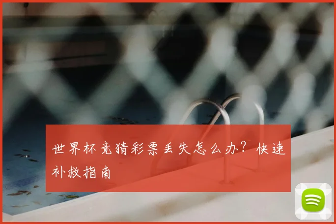 世界杯竞猜彩票丢失怎么办？快速补救指南
