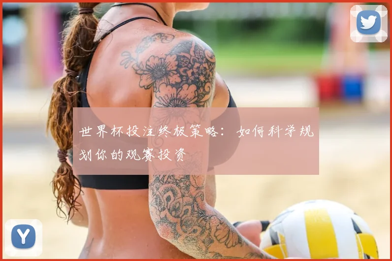 世界杯投注终极策略：如何科学规划你的观赛投资