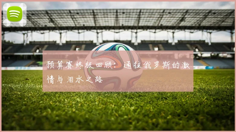 预算赛终极回顾：通往俄罗斯的激情与泪水之路